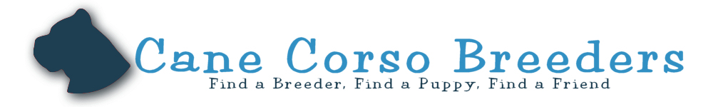 Cane Corsos breeder websites